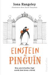 Einstein de pinguïn