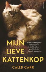 Mijn lieve kattenkop
