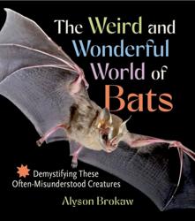 The Weird and Wonderful...