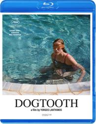 Dogtooth
