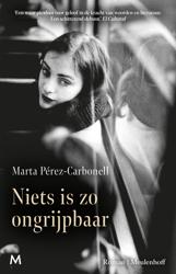Niets is zo ongrijpbaar