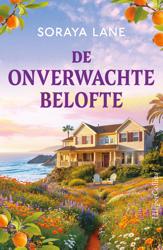 De onverwachte belofte