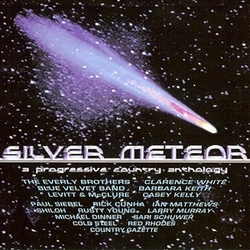 Silver Meteor: a...