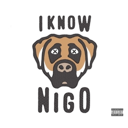 I Know Nigo Alternate Cover