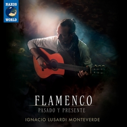 Flamenco - Pasado Y...