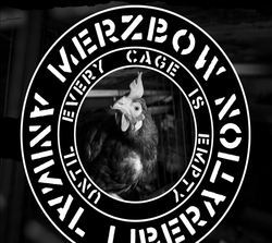 Animal Liberation - Until...