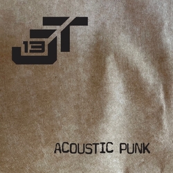 Acoustic Punk 