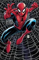 Marvel Monograph: The Art...