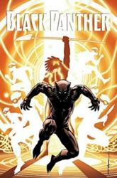 Black Panther: A Nation...